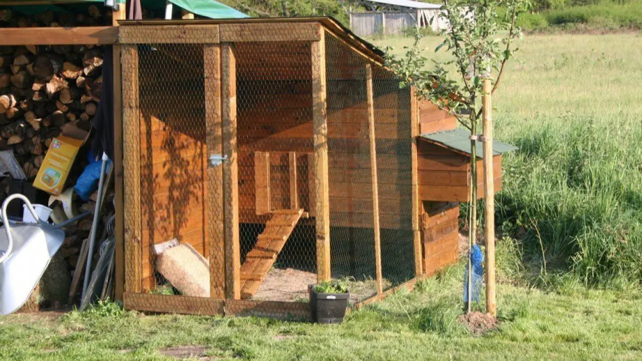 Construction Du Poulailler Maison Et Domotique