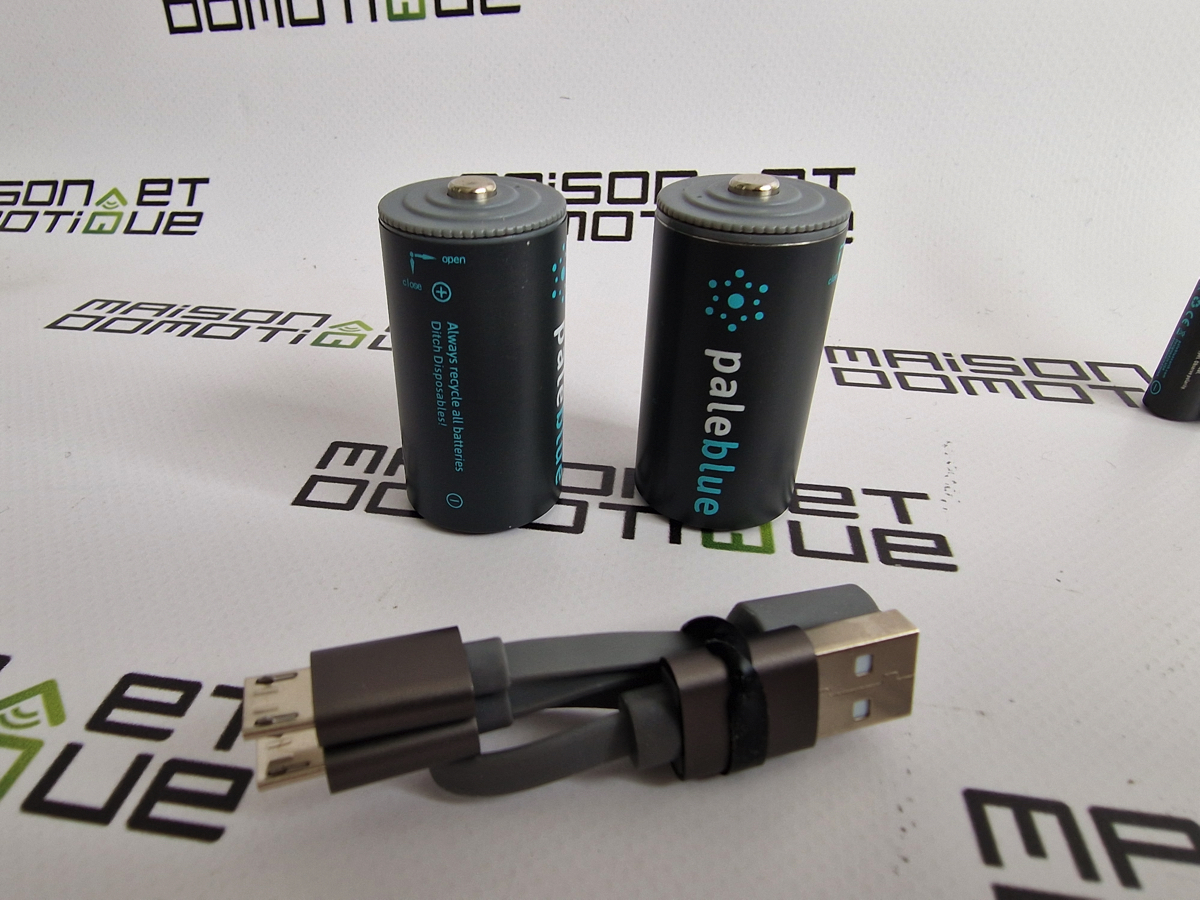 Pile rechargeable PALE BLUE USB AA (LR06)